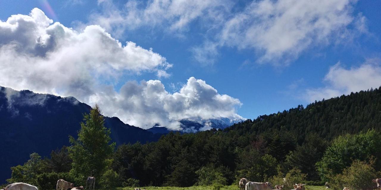 Bordes Pirineu, Costuix Hotell Areu Eksteriør bilde